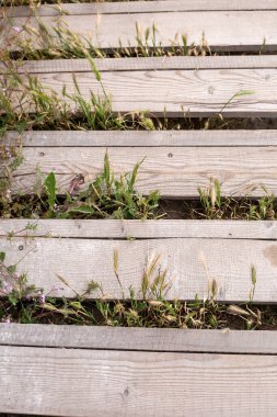 Tahtalar doğal arkaplanlı.