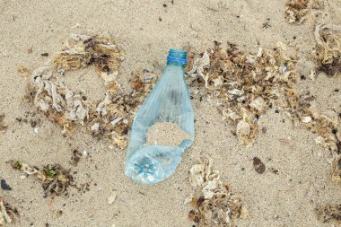 Plajda şişesi olan plastik şişe, çevre kirliliği.