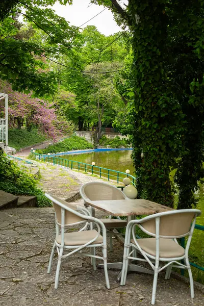 Japon bahçesi ve gölü..