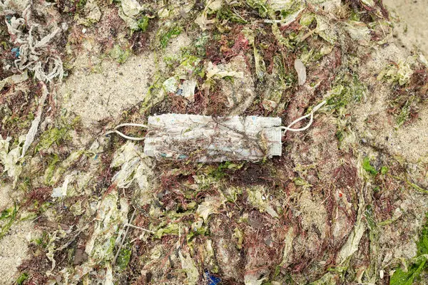 Plajdaki plastik çöp torbası.