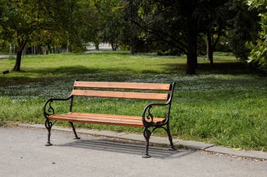Parktaki ahşap tezgah baharda çiçekli ve otlu güzel bir çimenliğin arka planında.