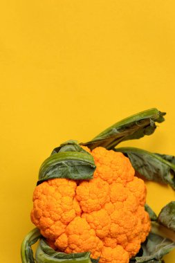 Zengin sarı arka planda yeşil yapraklı parlak sarı karnabahar. Reklam yazıları için yaratıcı bir altyapı. Yaz. Sebzeler.