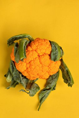 Zengin sarı arka planda yeşil yapraklı parlak sarı karnabahar. Reklam yazıları için yaratıcı bir altyapı. Yaz. Sebzeler.