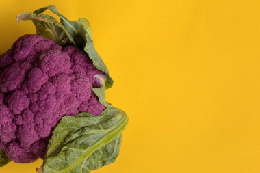  Zengin sarı arka planda yeşil yapraklı parlak mor karnabahar. Reklam yazıları için yaratıcı bir altyapı. Yaz. Sebzeler.