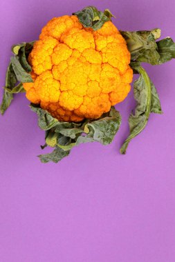 Zengin mor arka planda yeşil yapraklı parlak sarı karnabahar. Reklam yazıları için yaratıcı bir altyapı. Yaz. Sebzeler.