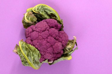 Zengin mor arka planda yeşil yaprakları olan parlak mor karnabahar. Reklam yazıları için yaratıcı bir altyapı. Yaz. Sebzeler.