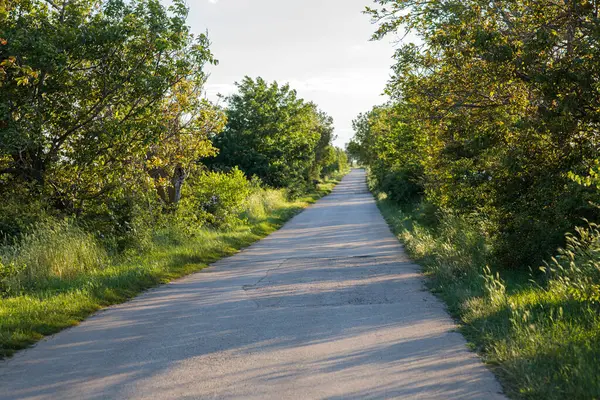 Sonbaharda kırlarda yol