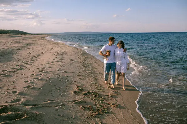 Yazın sahilde iki köpeği olan mutlu, genç bir aile..