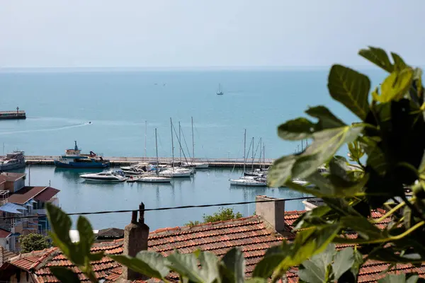 Deniz manzarası ve yatlar çok güzel. Balchik. Bulgaristan