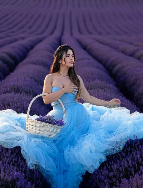 Yazın mor lavanta tarlasında güzel uzun tüylü mavi tüllü uzun saçlı güzel esmer kız.