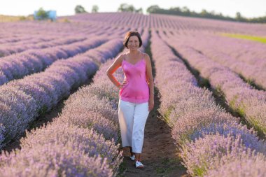 Yazın gün batımında mor lavanta tarlasında güzel bir kadın..