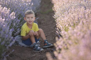 Yazın gün batımında mor lavanta tarlasında küçük bir çocuk.