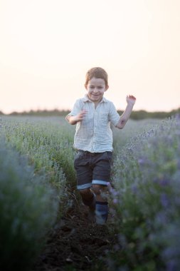  Küçük mutlu çocuk lavanta tarlasında