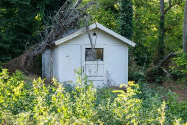 Ormanda terk edilmiş beyaz ahşap bir ev.