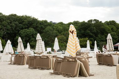 Şemsiyeler ve güneş şezlongları yazın sahilde.