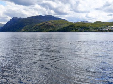 Dağlardaki dağ gölünde yunusların yüzdüğü yerde