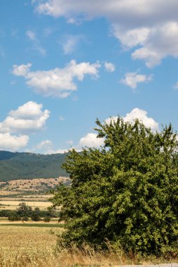Bulgaristan 'da bulutlu ve tarlalı güzel bir dağ manzarası. Sapareva Banya.