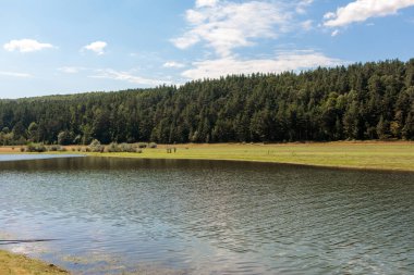 Dağlardaki dağ gölü. Güzel manzara. Bulgaristan