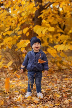 1 yaşındaki küçük bir çocuk, sonbahar parkında kalın giysiler ve şapkayla oynuyor ve üzerine sarı sonbahar yaprakları dökülüyor. Yaprak düşer. Sonbahar havası. Sonbahar sezonu. Düş. çocukluk