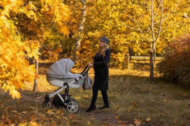 Sonbahar parkında elinde bebek arabası olan siyah şapkalı güzel bir genç kız. Sonbahar sezonu. Sonbahar havası. Sonbahar. Anne. Anneler Günü.