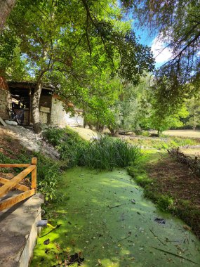 Parktaki eski güzel taş ev