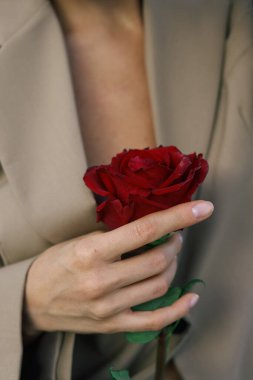Bir kadının elinde kırmızı bir gül. yüksek kaliteli fotoğraf.
