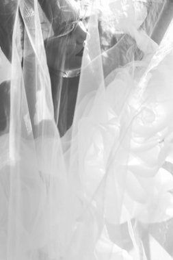 Gelinin siyah beyaz portresi ve vajinası güneşli. 