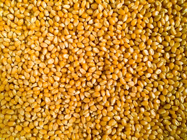 mısır tanelerini kapat