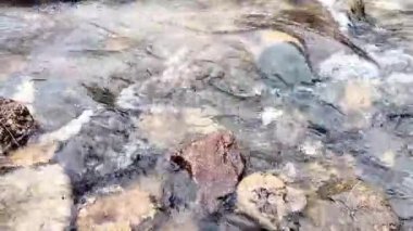 Su küçük bir nehirde akıyor.