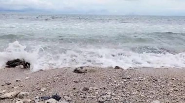 küçük dalgalar kumsalda