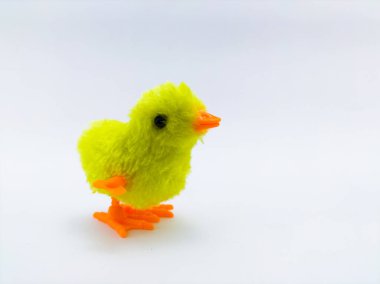 Küçük tüylü oyuncak piliçler beyaz üzerinde