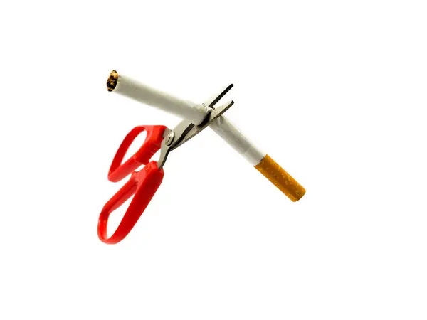 sigara makasla bölünmüş, hafif arkaplanda