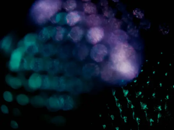 Odaklanamama ve bulanık arkaplan