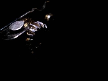 Metalik gitar akort mekanizmasının yakın çekimi. Görüntü, dokulu spiral bobinli ve parlak yüzeyi olan bir vitesi vurguluyor..