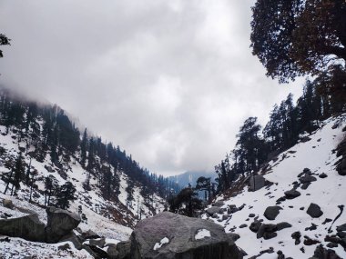 Beyaz karla kaplı Kareri Dağları. Dharamshala Himachal Pradesh.