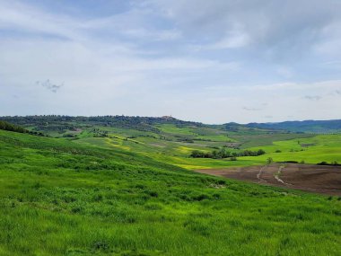 Tuscany 'nin yeşil tarlalarının çarpıcı bir manzarası, kayan tepeler, ekilmiş toprak ve otlakların karışımı. Mavi, bulutlu gökyüzü kırsal alana özel bir cazibe katar..