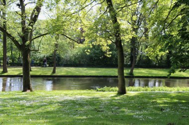 Güneşli bir günde sakin bir park sahnesi rahatlatıcı bir atmosfer yaratır. Piknik ya da gezinti için mükemmel. Güneş ışığı, doğanın güzelliğini arttıran parlak bir etki yaratır..