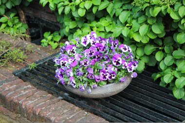 Güzel mor ve beyaz çiçekleri olan, yemyeşil bir arka planla çevrili canlı bir seramik ekici. Sahne huzur ve doğal güzelliği çağrıştırıyor. İlham verici neşe ve tazelik için mükemmel..