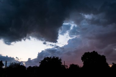 Fırtınalı mor bulutlar siyah bir ağaç siluetine çarpıcı bir gökyüzü yaratıyor..