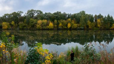 Sonbaharın en yüksek döneminde nehir kenarındaki orman manzaraları