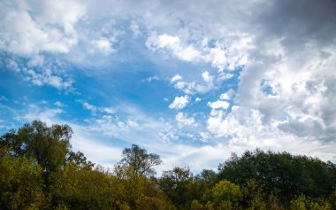 Sonbaharın en yüksek döneminde nehir kenarındaki orman manzaraları
