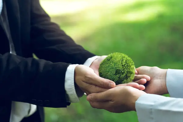 Concept Environment World Earth Day Hands Holding Green Earth Saving — Stock Photo, Image