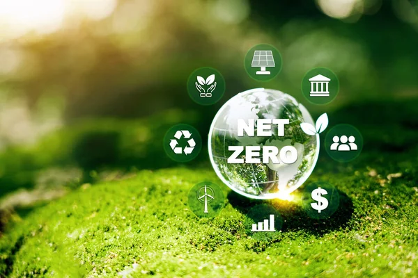 Net zero and carbon neutral concept Net-zero greenhouse gas emissions targets a long-term, climate-neutral strategy to 2050.