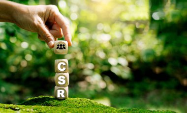 Kurumsal sosyal sorumluluk (CSR) ve çevreci bir çevre üzerine topluma geri verme.