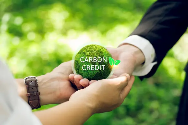 Mano Para Medio Ambiente Calentamiento Global Desarrollo Sostenible Las Empresas —  Fotos de Stock