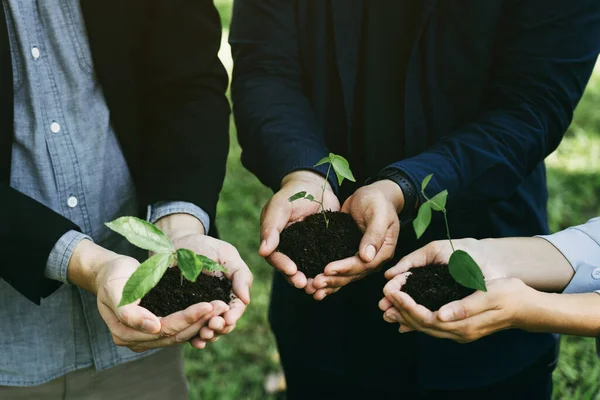 Concept of the Environment World Earth Day. Business hands holding green plants in soil together are the symbol of green business company and collaboration in a green business.