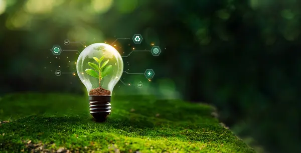 Küresel ampul ve sürdürülebilir kalkınma için yenilenebilir enerji kavramı çevresel koruma iş hedeflerine, yeşil işletmelere ulaşın.