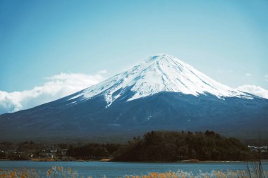 Fuji Dağı ikonu ve Japonya 'nın sembolik dağı. Kültürü, Kawaguchiko Gölü 'ndeki gelenekleri gösteren güzel turistik yerler..