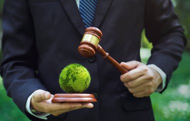 Çevre düzenlemeleri için hukuk dünyası, sürdürülebilir çevre kavramı.