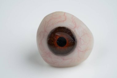 Görünür damarları ve temiz beyaz arka planda dinlenen göz bebeği ile gerçekçi bir göz protezi, tıbbi veya eğitim amaçlı ayrıntılı bir görüş sunuyor